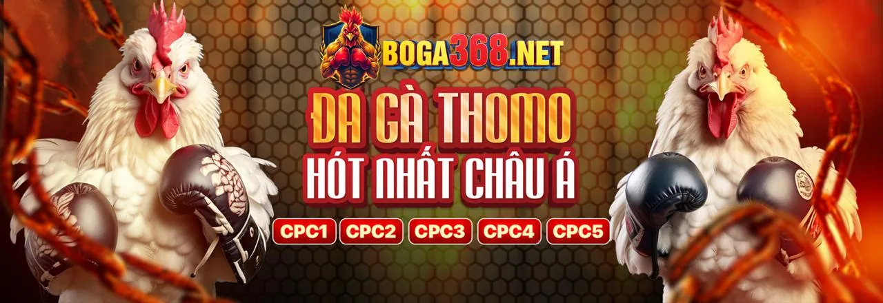 Tiền thưởng chào mừng lớn cho người chơi mới tại ae6789 đăng nhập